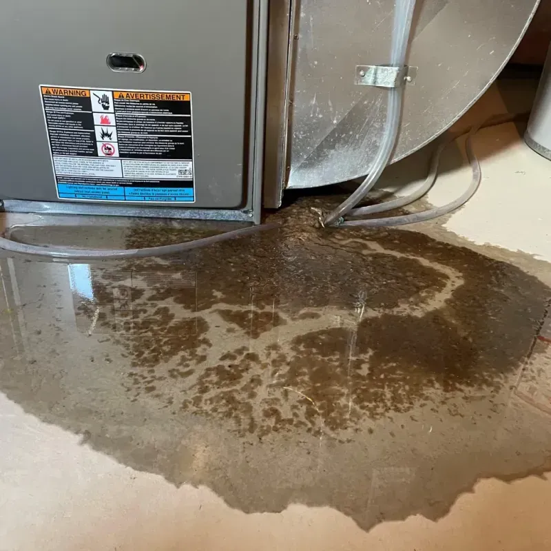 Appliance Leak Cleanup in Ganado, AZ